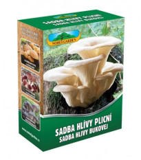 Hliva pľúcna - Pleurotus pul - sadivo - predaj - 250 ml