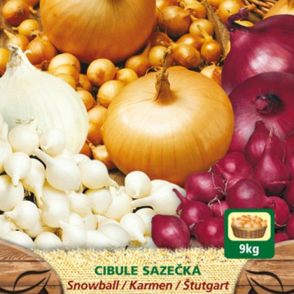 Zmes sadzačiek - Allium cepa - 3 odrody cibuliek - 150 g