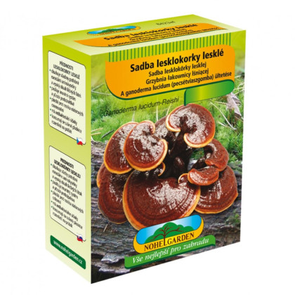 Lesklokôrka lesklá - Ganoderma lucidum - sadba - predaj - 250 ml