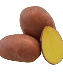 Sadbové zemiaky Red Anna - Solanum tuberosum - červené poloskoré - 5 kg