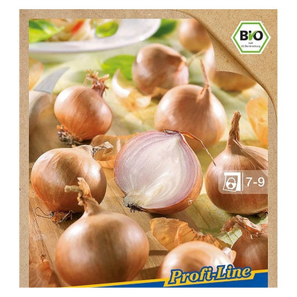 BIO cibuľa šalotka Red Sun - Allium cepa - predaj bio cibule - 10 ks