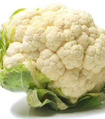 Karfiol skorý Ingloory - Brassica oleracea - semiačka - 20 ks