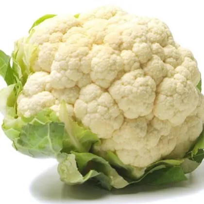 Karfiol skorý Ingloory - Brassica oleracea - semiačka - 20 ks