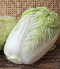 Kapusta pekinská Grannat - Brassica pekinensis - semiačka - 200 ks