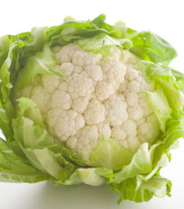 Karfiol skorý Erfurter Zwerg - Brassica oleracea - semiačka - 120 ks