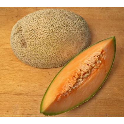 Melón cukrový - Maltese F1 - semená melónu - 8 ks