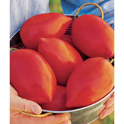 Paradajka Big mama F1- kolíková odroda - Solanum lycopersicum - Predaj semien rajčiaka - 7 ks