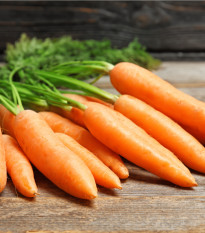 Bio mrkva Rothild veľmi skorá - Daucus carota - bio semiačka - 0,5 g