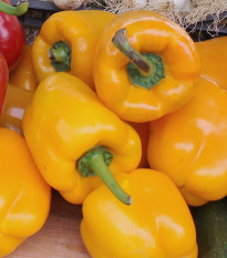 Bio Paprika Quadrato Asti Giallo - Capsicum annuum - predaj bio semien - 8 ks