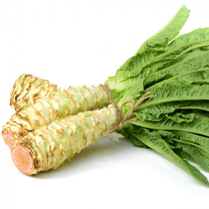 Šalát špargľový Celtuce - Lactuca sativa L. var. asparagina - semiačka - 300 ks