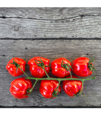 Paradajka kolíková Jahodo - Solanum lycopersicum - predaj semien - 25 ks