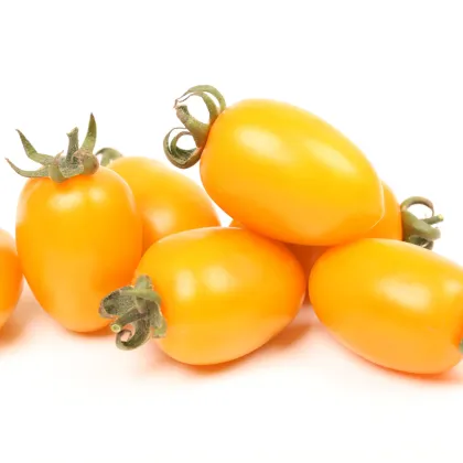 Paradajka Datlo - Solanum lycopersicum - predaj semien - 25 ks