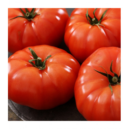 Paradajka Buffalosteak F1 - Solanum lycopersicum - predaj semien paradajok - 6 ks