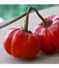 Okrasný baklažán Goyo - Solanum melongena - predaj semien - 10 ks