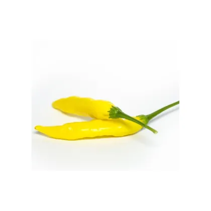 Chilli Aji Pineapple - Capsicum baccatum - predaj semien - 7 ks