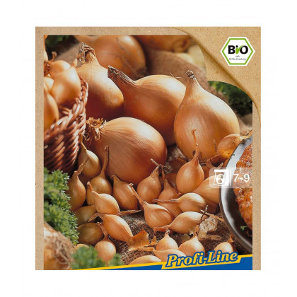 BIO cibuľa sadzačka Setton - Allium cepa - predaj bio semien  - 40 ks