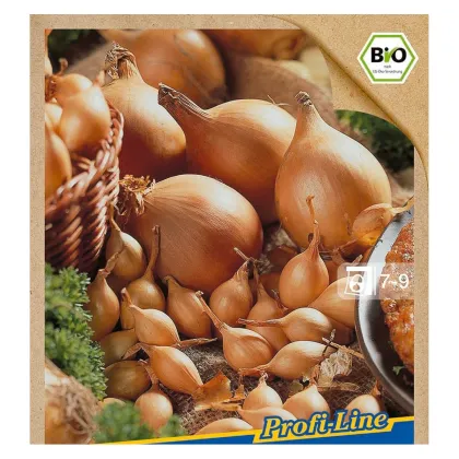 BIO cibuľa sadzačka Setton - Allium cepa - predaj bio semien  - 40 ks