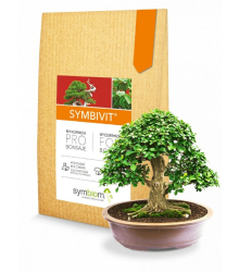Mykoríza pre bonsaje - Symbivit Bonsai - hnojivo - 150 g