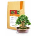 Mykoríza pre bonsaje - Symbivit Bonsai - hnojivo - 150 g