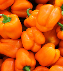 Paprika Snack Orange - Capsicum annuum - predaj semien paprík - 6 ks