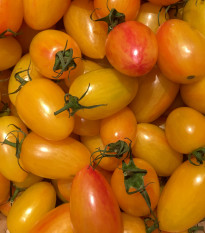 Paradajka Artisan Blush Tiger - Solanum lycopersicum - predaj semien paradajok - 20 ks