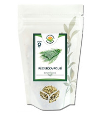 Praslička roľná - Equisetum arvense - vňať - 100 g