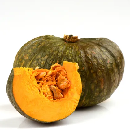 Bio tekvica Zelené Hokkaido - Cucurbita maxima - predaj bio semien - 7 ks