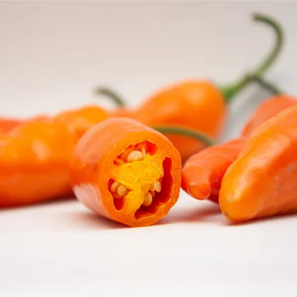 Chilli Aji Amarillo - Capsicum annuum - predaj semien - 7 ks