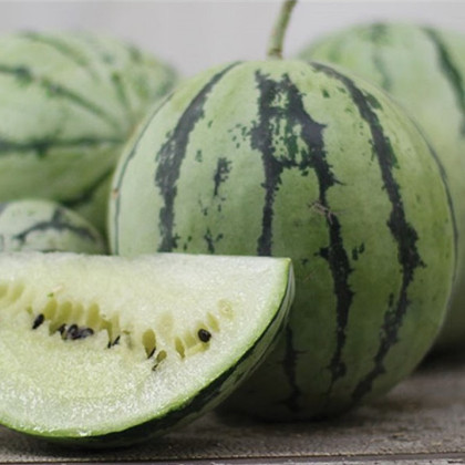 Vodný melón Saskatchewan - Citrullus lanatus - predaj semien - 6 ks