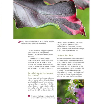 Moja motýlia záhrada - Grada - predaj kníh - 1 ks