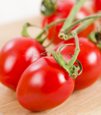 Paradajka Alicante – Solanum lycopersicum – predaj semien paradajok