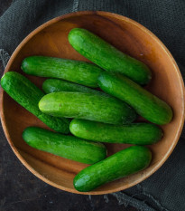 Uhorka šalátová Baby F1 - Cucumis sativus - predaj semien - 10 ks