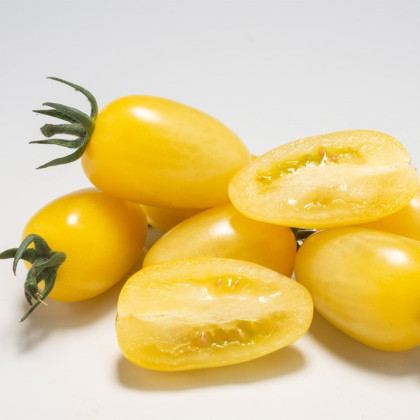 Paradajka Dattolime F1 - Solanum lycopersicum - predaj semien - 6 ks