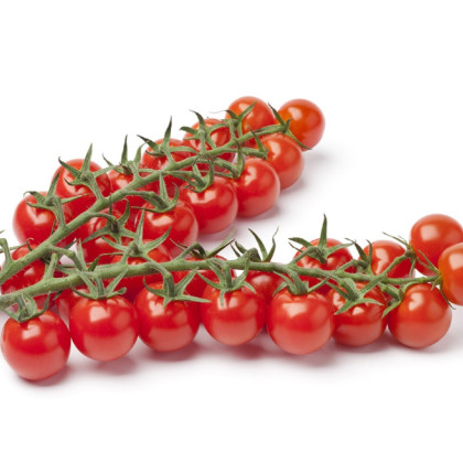 Paradajka Gourmelito F1 - Solanum lycopersicum - predaj semien - 6 ks