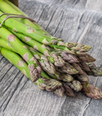 Špargľa Gijnlim - Asparagus officinalis - voľnokorenné sadenice špargle - 1 ks