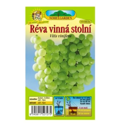 Vinič hroznorodý - Vitis vinifera - predaj voľnokorenných sadeníc - 1 ks