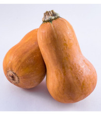 Tekvica maslová Honeynut - Cucurbita moschata - predaj semien - 6 ks