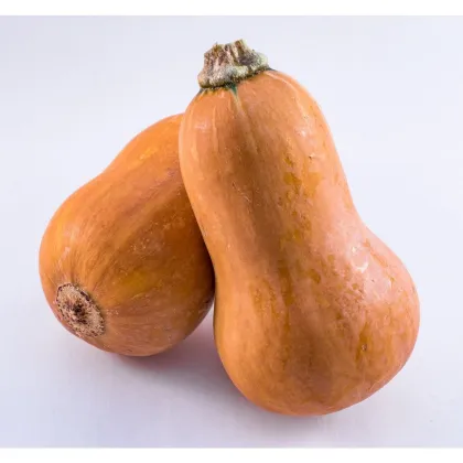 Tekvica maslová Honeynut - Cucurbita moschata - predaj semien - 6 ks