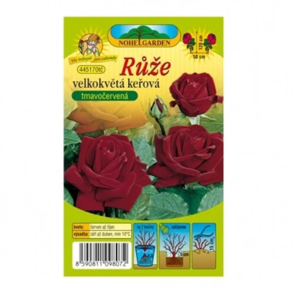Ruža veľkokvetá kríková tmavočervená - Rosa - predaj jednoducho korenených sadeníc - 1 ks