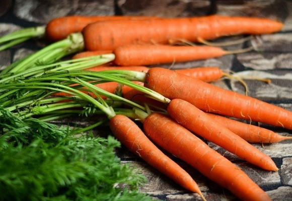Aký je rozdiel medzi karotkou a neskorou mrkvou?