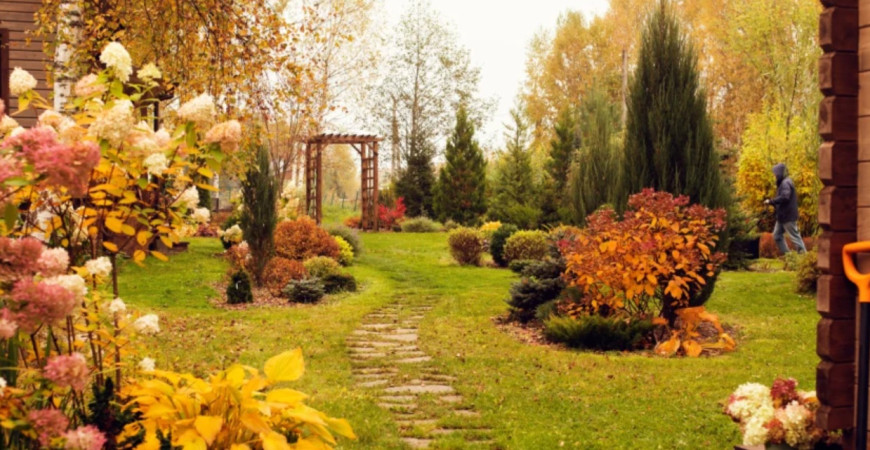 November – už máte záhradu pripravenú na zimu?